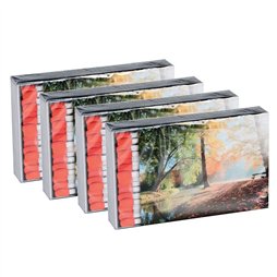 Lot de 4 boîtes de 45 allumettes - longueur 10 cm