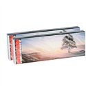 Lot de 2 boîtes de 40 allumettes - longueur 20 cm Lot de 2 boîtes de 40 allumettes - longueur 20 cm