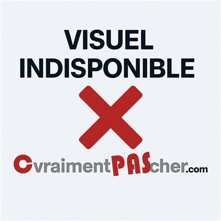 Girouette simple paroi inox femelle Ø250