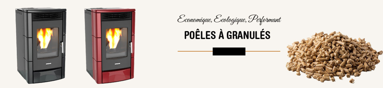 Poêles à Bois : Chaleur Authentique et Écologique